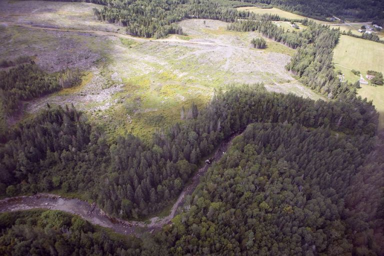 Colour aerial photograph of winding brook and trees
