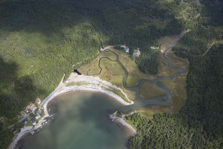 Photographie couleur d’une plage bordée d’une forêt verdoyante au bord de l’océan