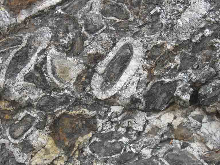 Photographie couleur d’un gros bloc de roche grise portant des cercles blancs
