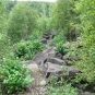 Colour photograph of large blocks of rock surrounded by trees